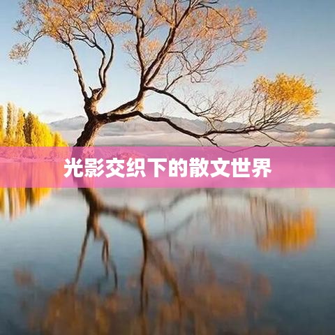 光影交织下的散文世界