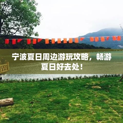 笼中之鸟 第3页