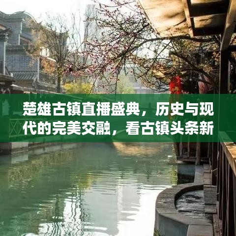 楚雄古镇直播盛典,历史与现代的完美交融,看古镇头条新闻动态!