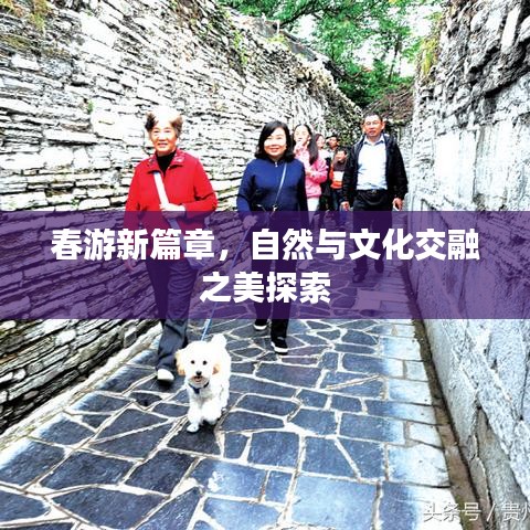 春游新篇章，自然与文化交融之美探索