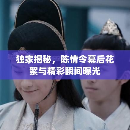 独家揭秘,陈情令幕后花絮与精彩瞬间曝光