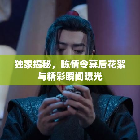 独家揭秘,陈情令幕后花絮与精彩瞬间曝光