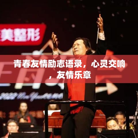 青春友情励志语录,心灵交响,友情乐章