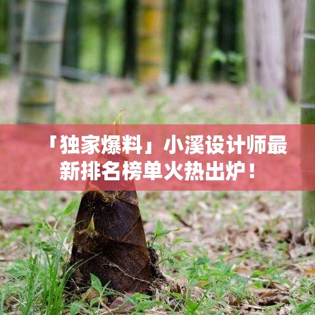 「独家爆料」小溪设计师最新排名榜单火热出炉!