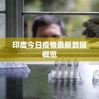 印度今日疫情最新数据概览