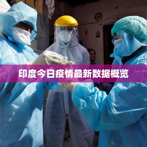 印度今日疫情最新数据概览