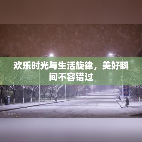 欢乐时光与生活旋律,美好瞬间不容错过