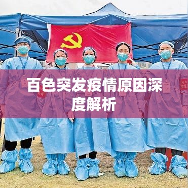 百色突发疫情原因深度解析
