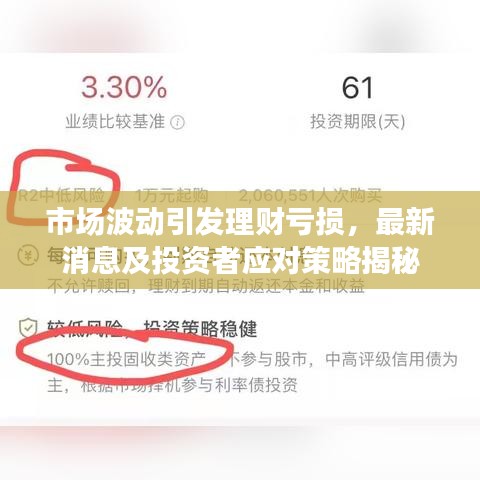 市场波动引发理财亏损,最新消息及投资者应对策略揭秘