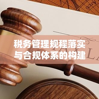 税务管理规程落实与合规体系的构建,构建稳健税务管理体系的关键要素