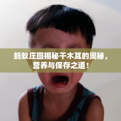 蚂蚁庄园揭秘干木耳的奥秘,营养与保存之道!