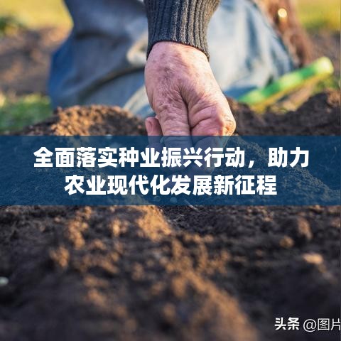 全面落实种业振兴行动,助力农业现代化发展新征程