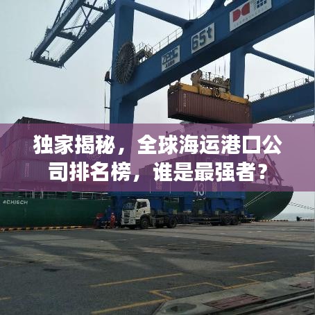 独家揭秘，全球海运港口公司排名榜，谁是最强者？