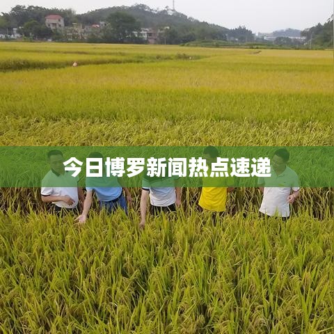 今日博罗新闻热点速递