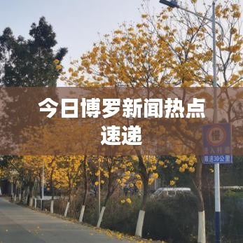 今日博罗新闻热点速递