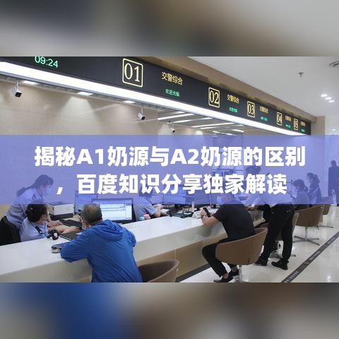 揭秘A1奶源与A2奶源的区别,百度知识分享独家解读