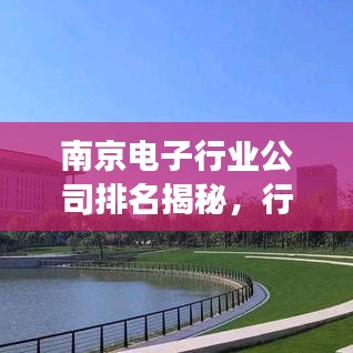 南京电子行业公司排名揭秘，行业深度分析与前景展望！