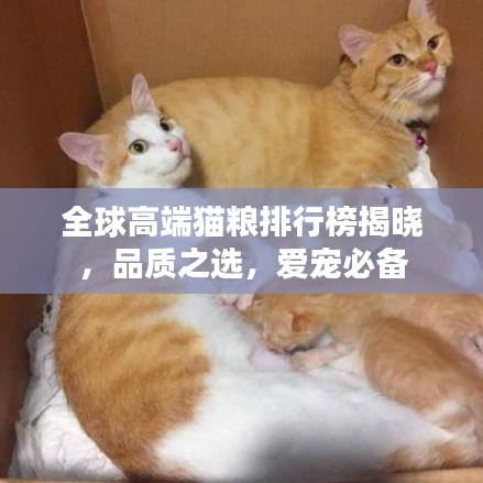 全球高端猫粮排行榜揭晓,品质之选,爱宠必备