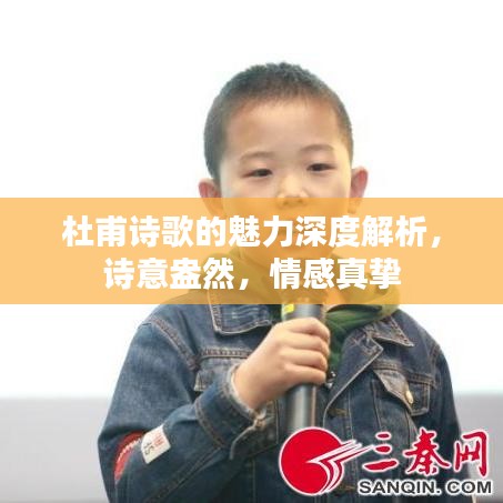杜甫诗歌的魅力深度解析,诗意盎然,情感真挚