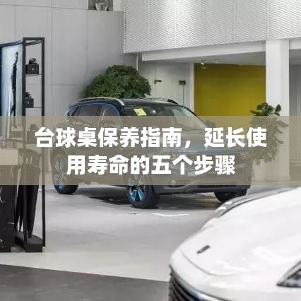 台球桌保养秘籍，五步延长使用寿命指南