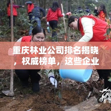 重庆林业公司排名揭晓，权威榜单，这些企业领跑行业！
