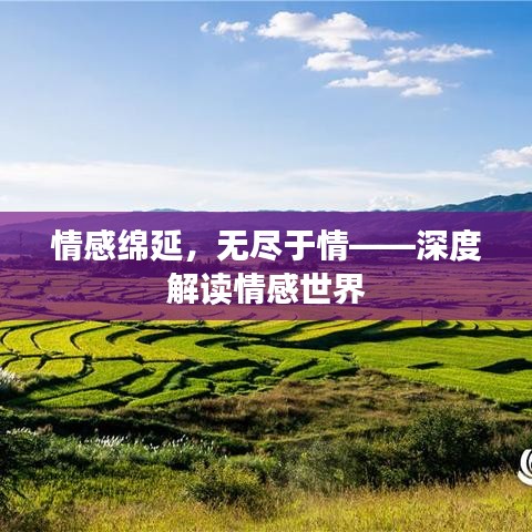 情感绵延,无尽于情——深度解读情感世界