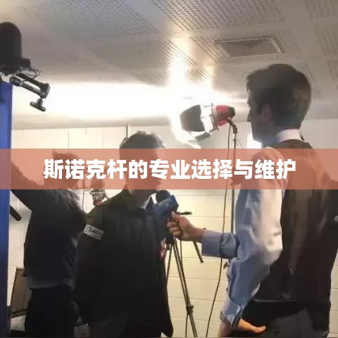 斯诺克杆,专业挑选与保养之道