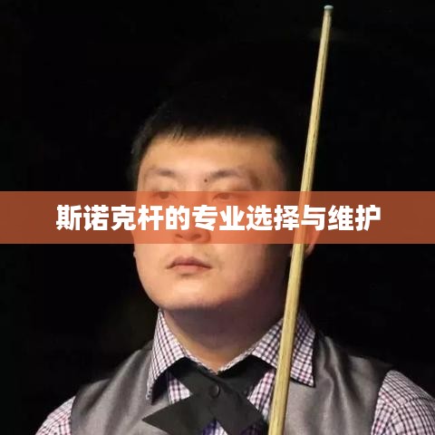 斯诺克杆,专业挑选与保养之道