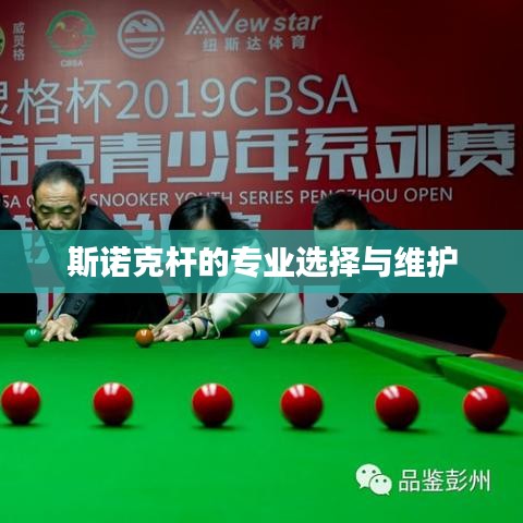 斯诺克杆,专业挑选与保养之道