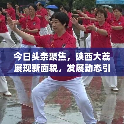 今日头条聚焦,陕西大荔展现新面貌,发展动态引领时代潮流