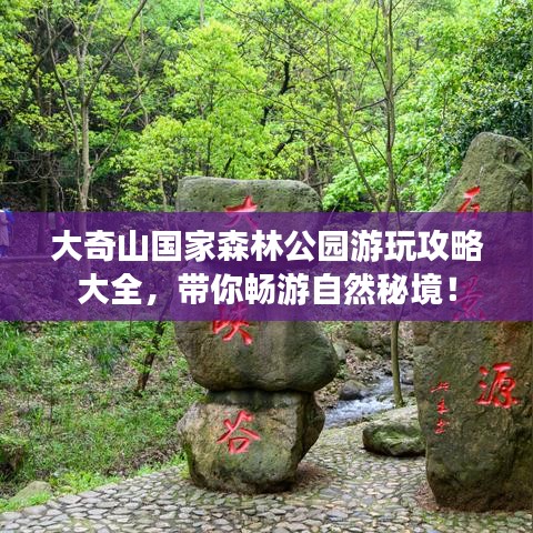 大奇山国家森林公园游玩攻略大全,带你畅游自然秘境!