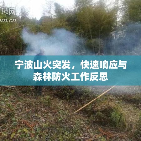 宁波山火突发，快速响应与森林防火工作反思