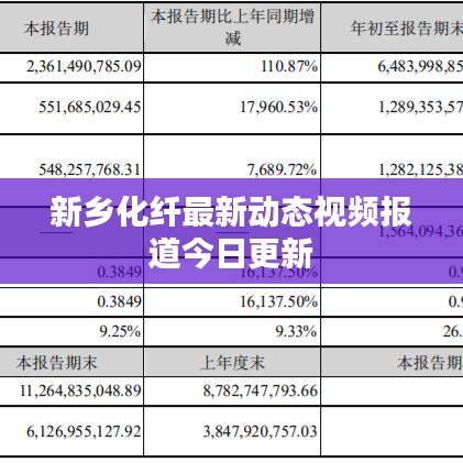 新乡化纤最新动态视频报道今日更新