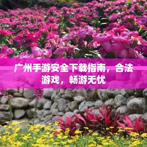 广州手游安全下载指南,合法游戏,畅游无忧