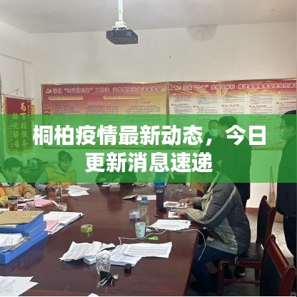桐柏疫情最新动态,今日更新消息速递