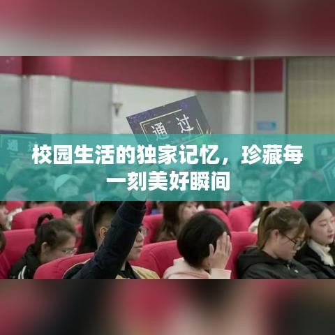 校园生活的独家记忆,珍藏每一刻美好瞬间
