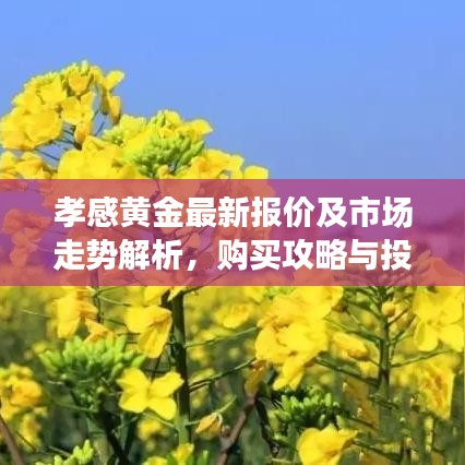 孝感黄金最新报价及市场走势解析,购买攻略与投资建议