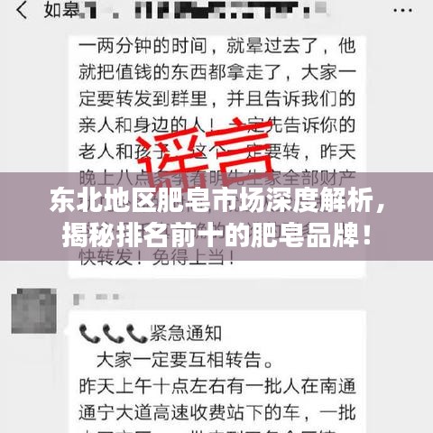 东北地区肥皂市场深度解析,揭秘排名前十的肥皂品牌!