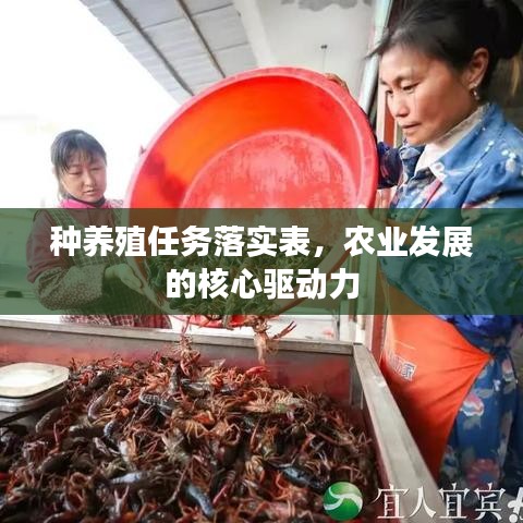 种养殖任务落实表,农业发展的核心驱动力