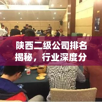 陕西二级公司排名揭秘,行业深度分析与洞察