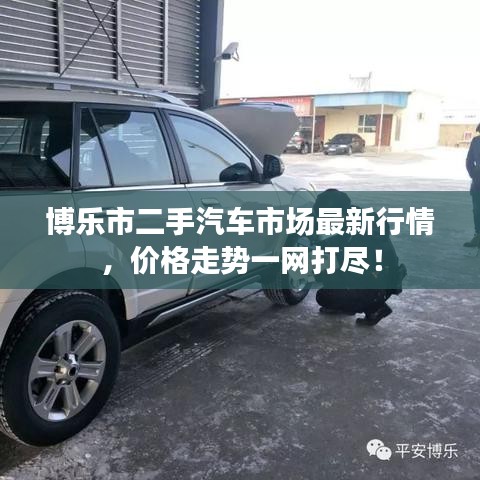 博乐市二手汽车市场最新行情，价格走势一网打尽！