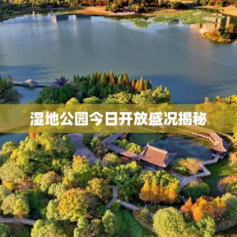湿地公园今日开放盛况揭秘