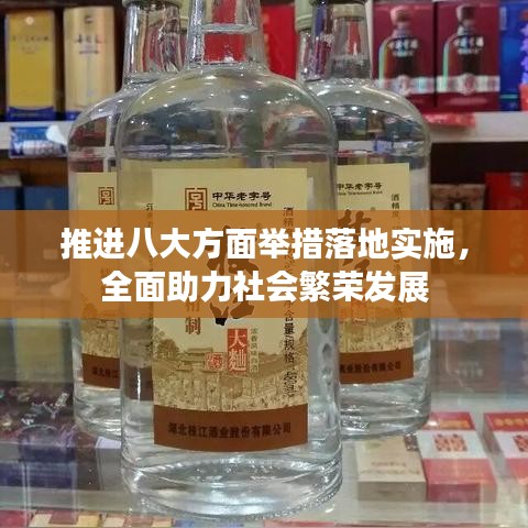 推进八大方面举措落地实施,全面助力社会繁荣发展