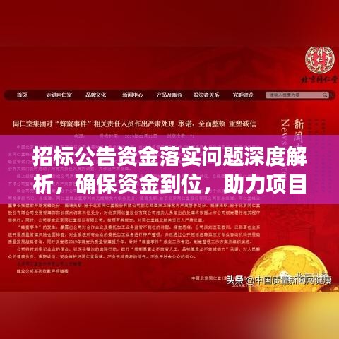 招标公告资金落实问题深度解析,确保资金到位,助力项目顺利进行