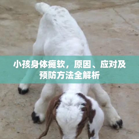 小孩身体瘫软,原因、应对及预防方法全解析