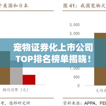 宠物证券化上市公司TOP排名榜单揭晓!