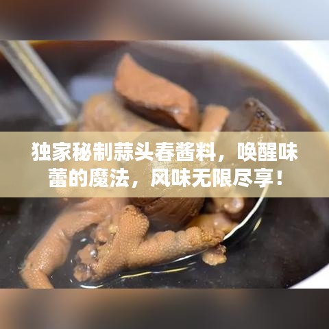独家秘制蒜头春酱料，唤醒味蕾的魔法，风味无限尽享！