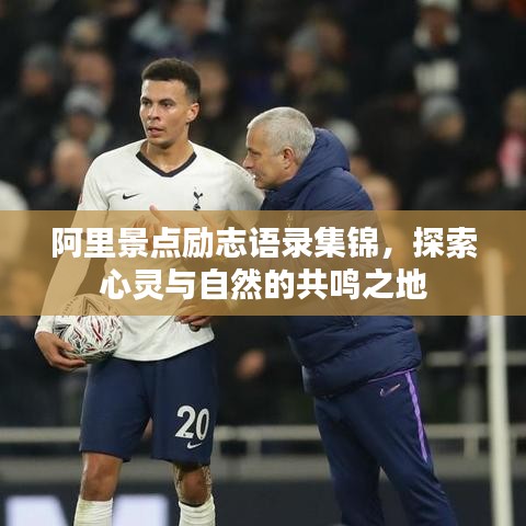 阿里景点励志语录集锦,探索心灵与自然的共鸣之地