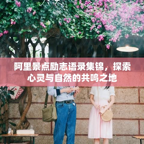 阿里景点励志语录集锦,探索心灵与自然的共鸣之地