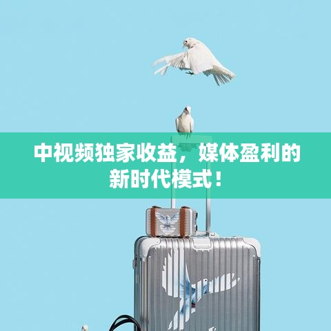 中视频独家收益,媒体盈利的新时代模式!